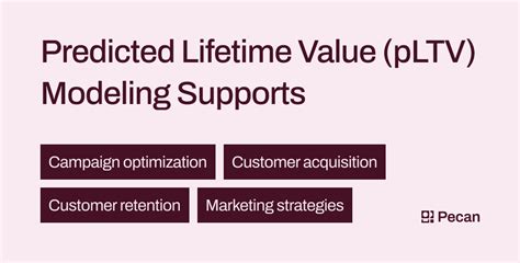 The Marketer's pLTV Playbook .